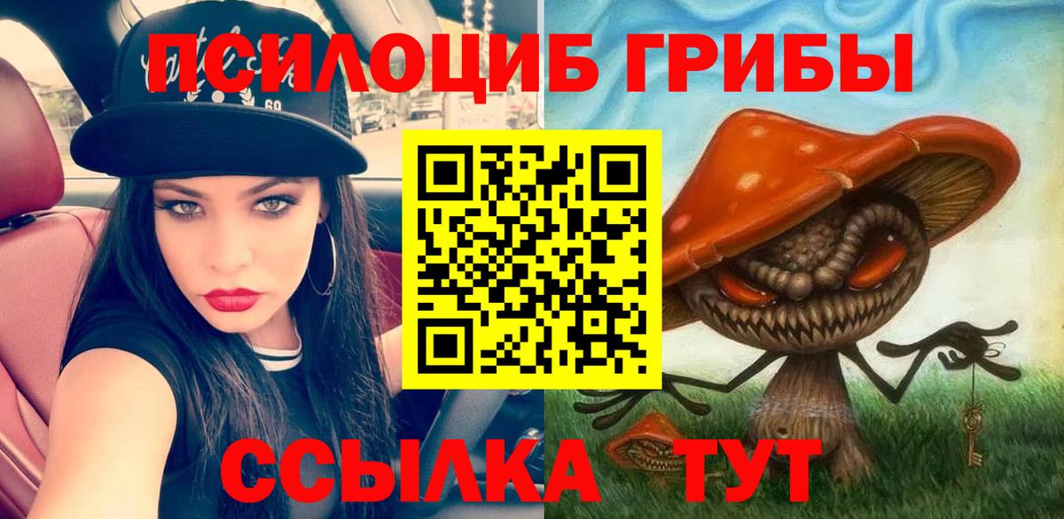 Гай  Псилоцибиновые грибы Magic Shrooms  Вход с VPN 